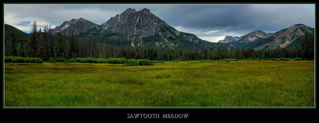 Sawtooth Meadow
