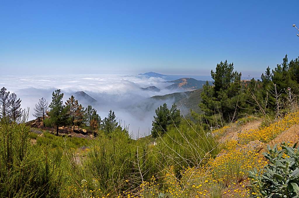View from La Cumbre Peak