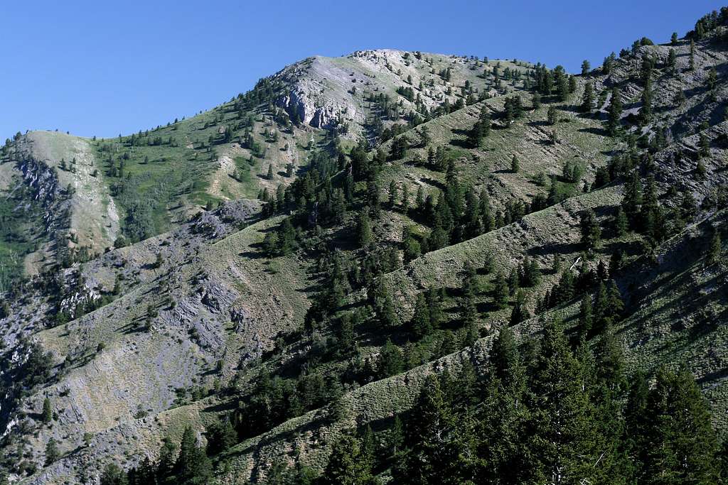 Cherry Creek Canyon Folds