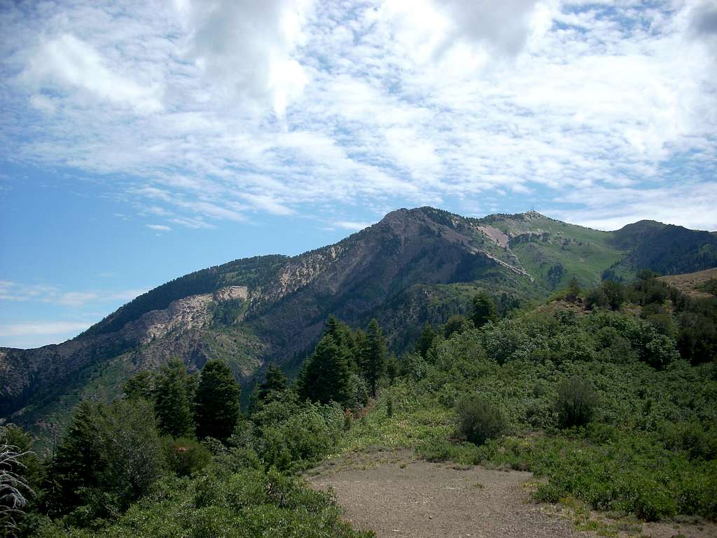 View of Mt. Ogden