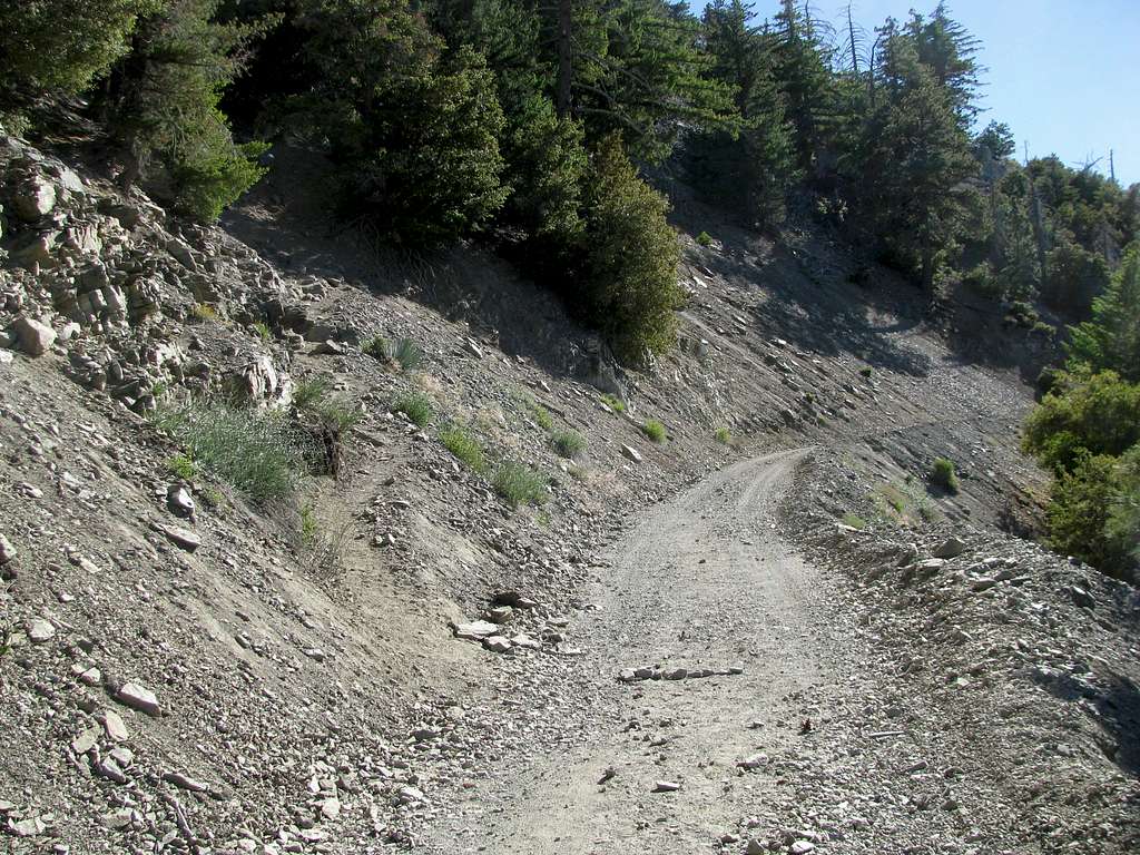 Trail Split