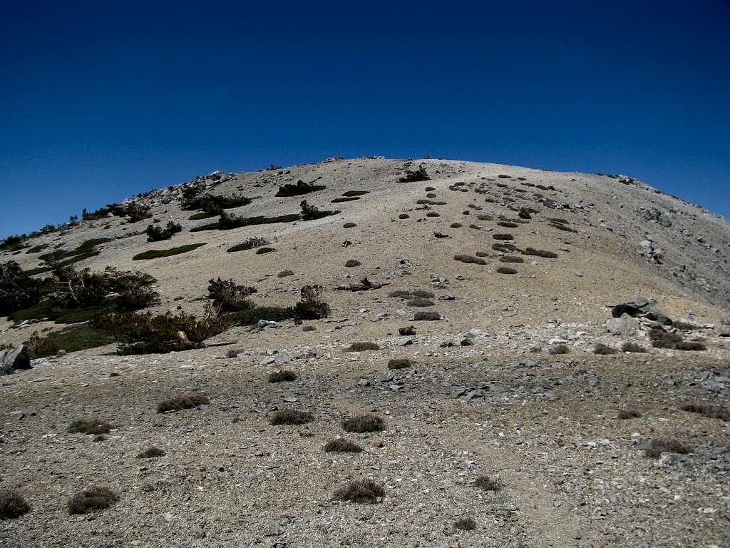 West Baldy from Saddle