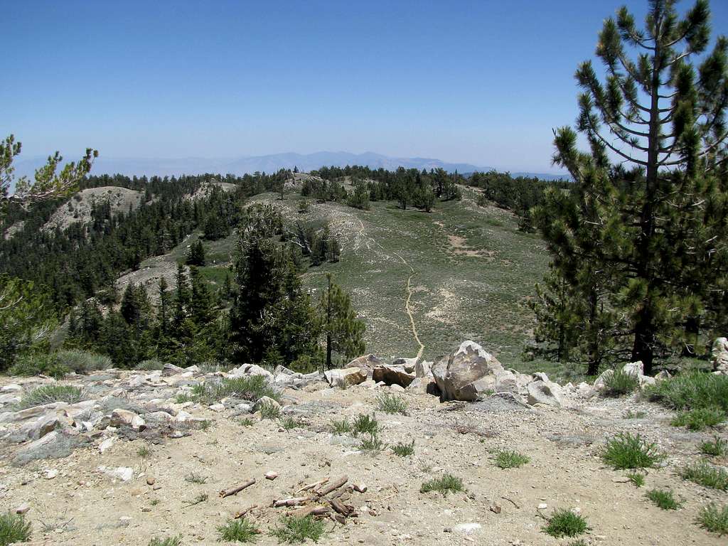 a side trail on the summit ridge
