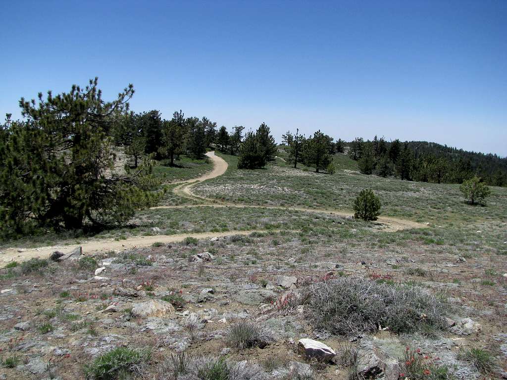West from Pinos Summit