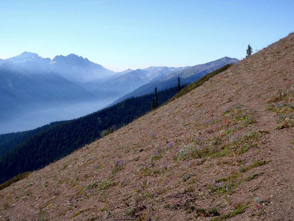 Northern Gray Wolf Ridge : Photos, Diagrams & Topos : SummitPost