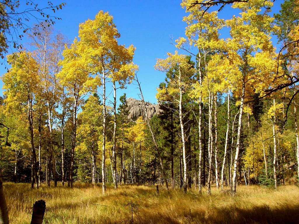 Fall View Along Trail 4