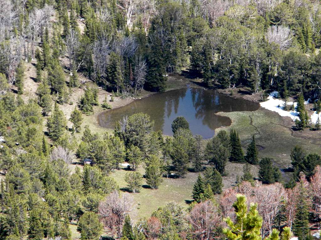 Black Mountain Pond