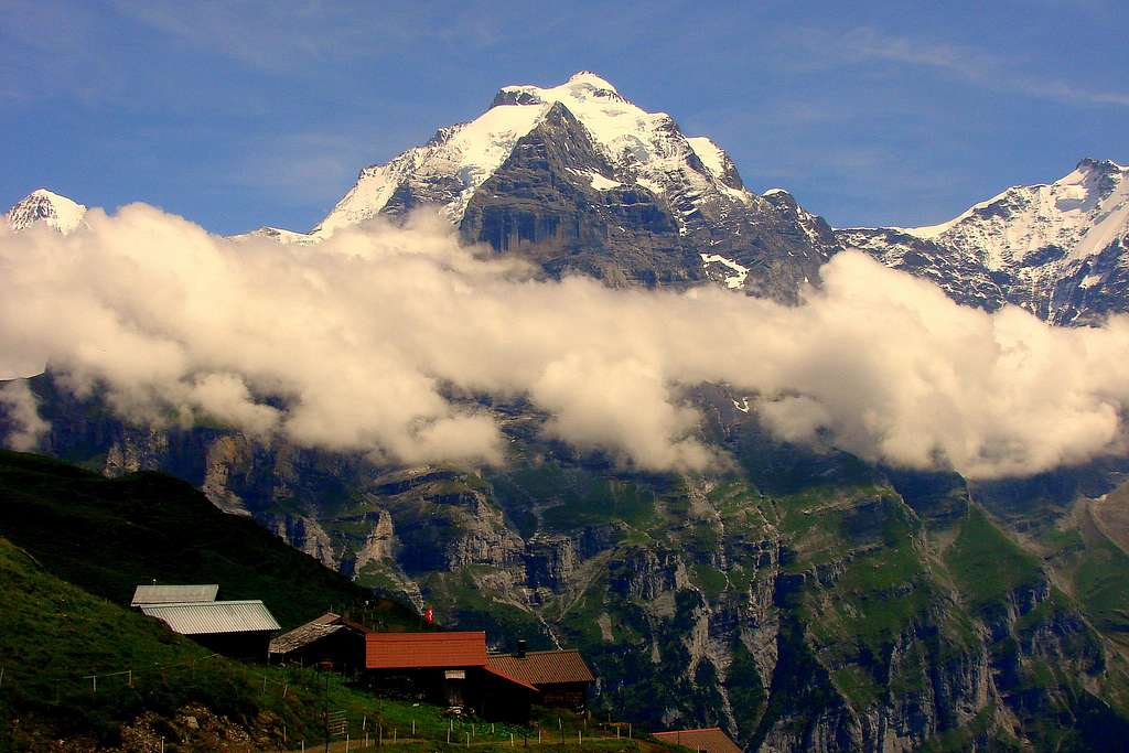 Jungfrau from Schiltalp