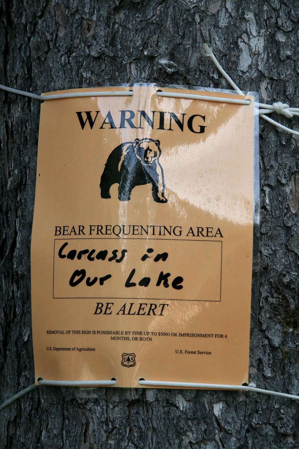 Grizzly Warning