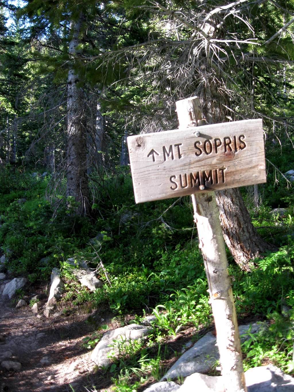 Trail to summit Mount Sopris