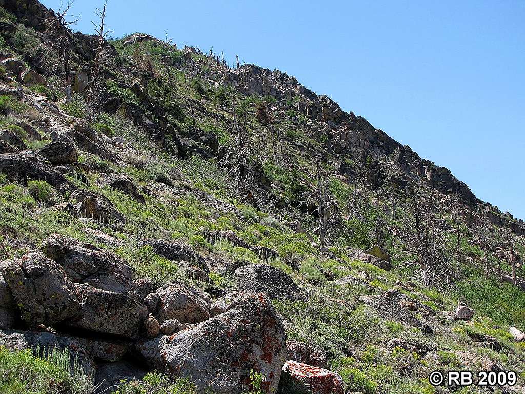 Lone Mountain north slope