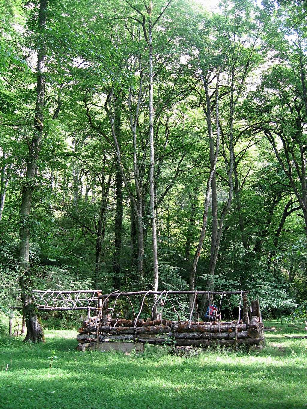 Structure in the Meadow