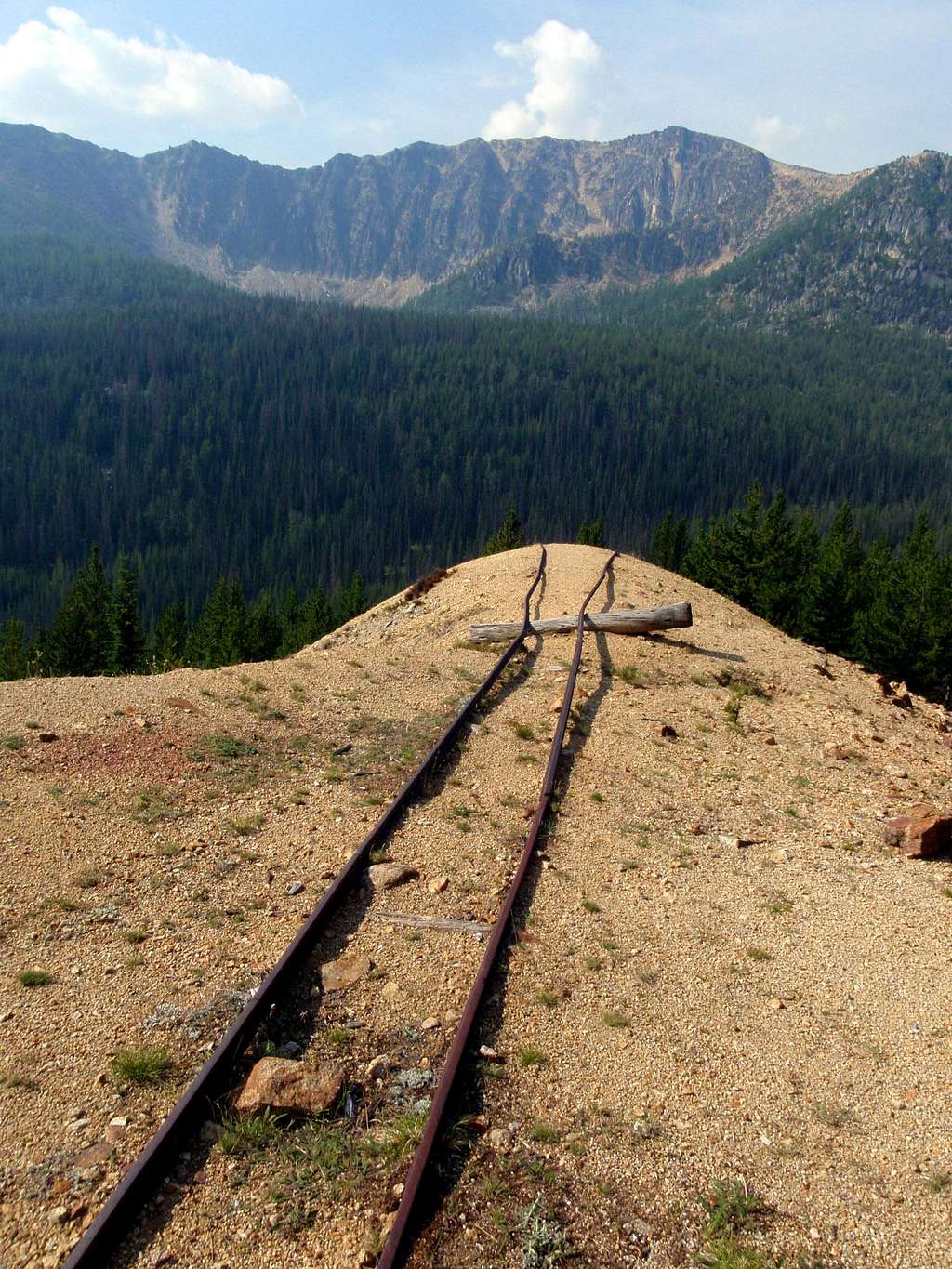 Rail Cart Tracks