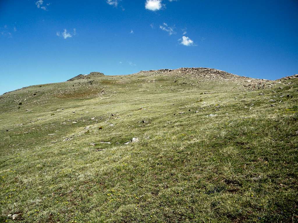 The Broad Ridge of Sheep Point