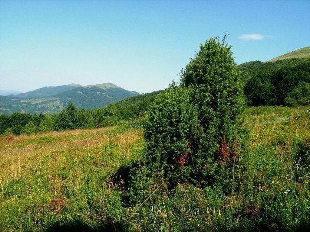 View from the slope of Carynska Meadow