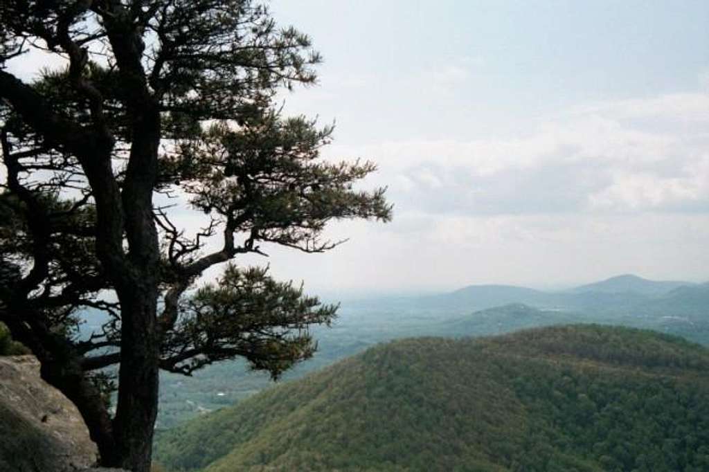 View from Mt. Yonah
