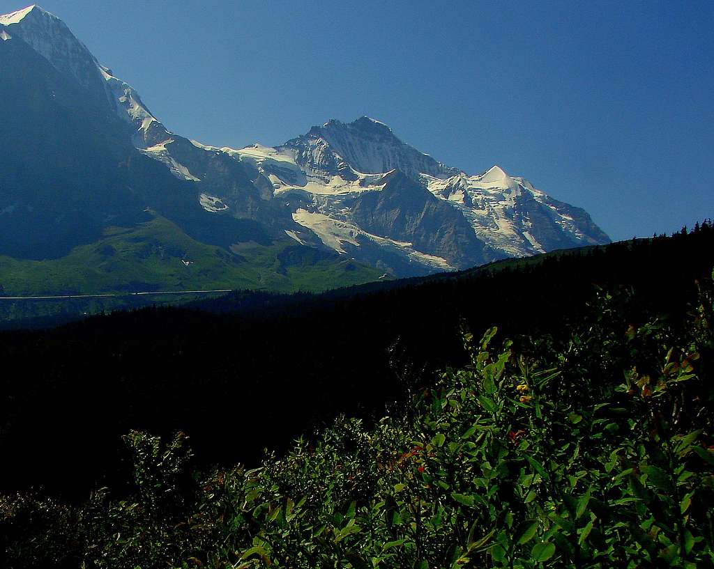 Jungfrau and Mönch from Holenstein