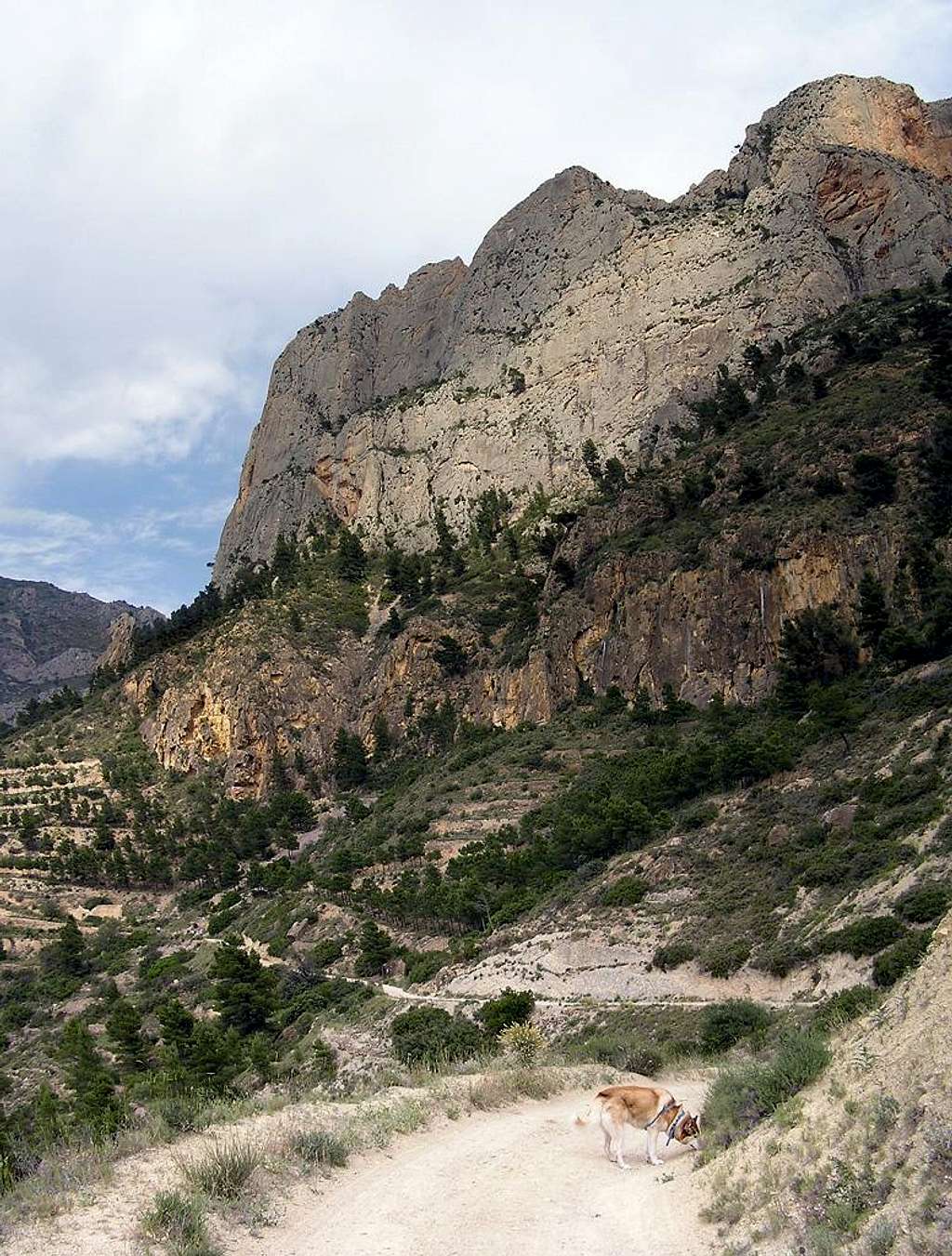 Pared de los Alcoyanos. Cabeçó d'Or. 2004.06.13