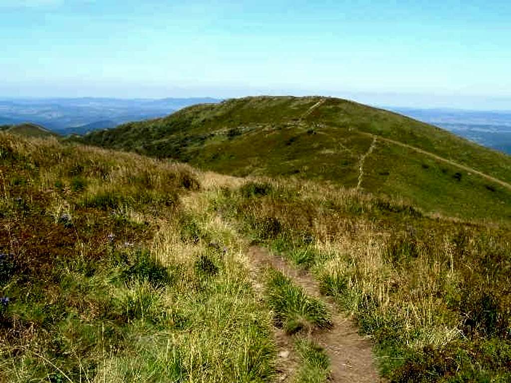 Mount Bukowe Berdo (1313 m)