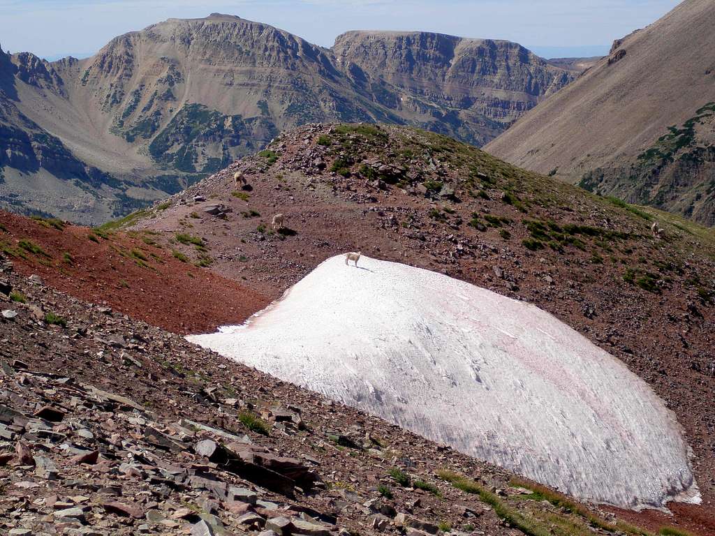 Lovenia/Wasatch saddle