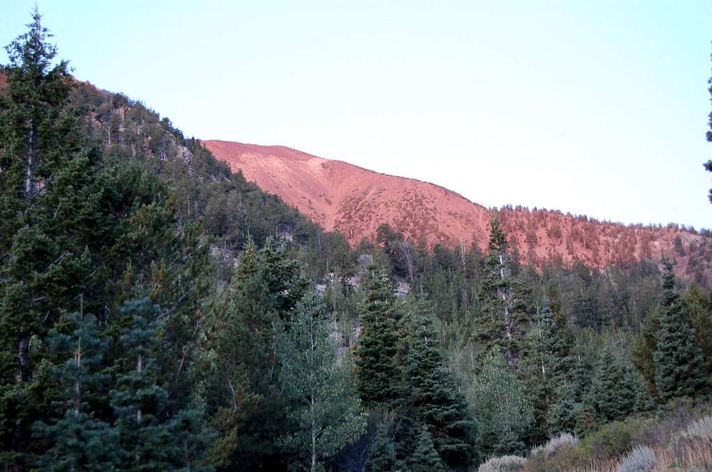 Morning Light on Red Mountain