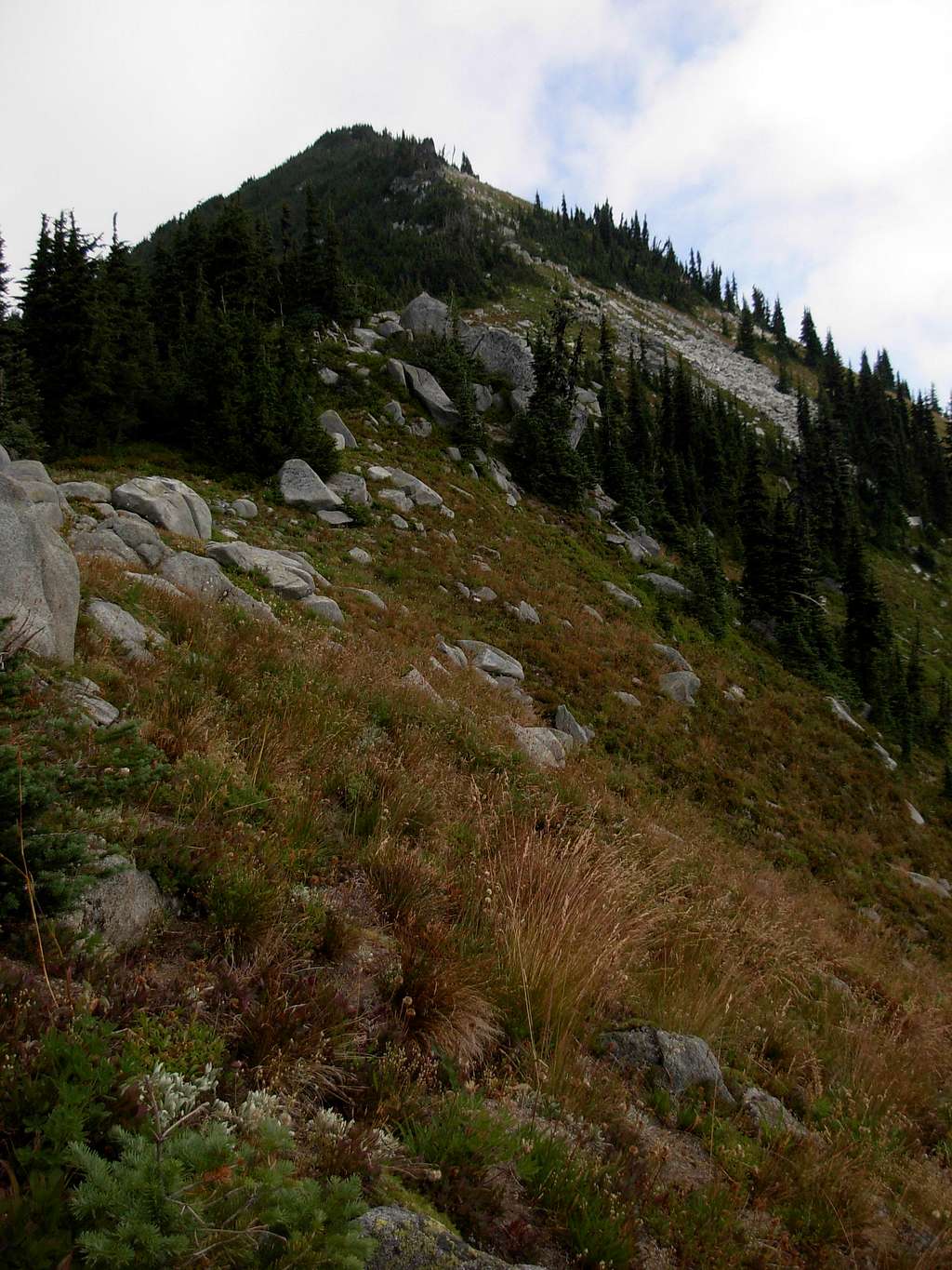 Mac Peak - Upper SW Ridge