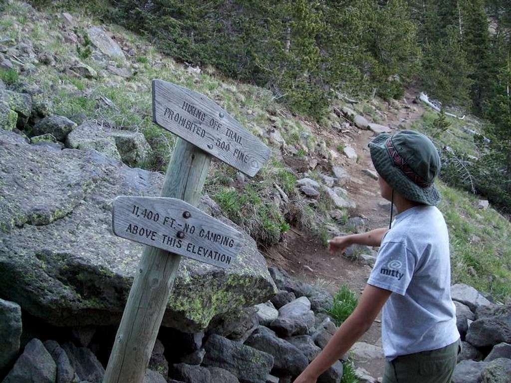 Humphreys Peak Trail