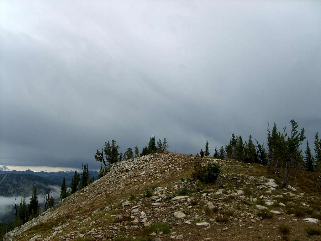 Mt Mills Summit Ridge