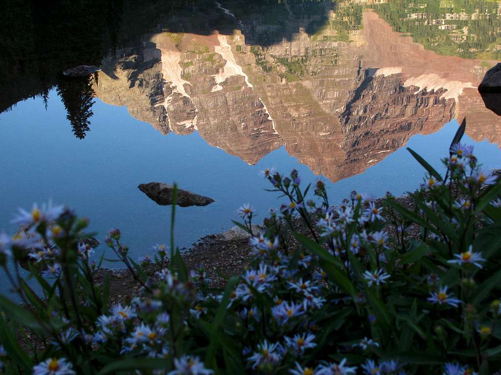 Maroon Lake wildflowers