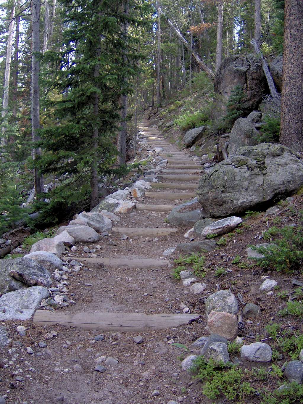 Staircase on Ypsilon Lake Trail