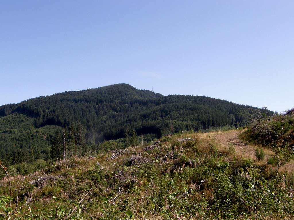 McDonald Mtn Towers from Clearcut