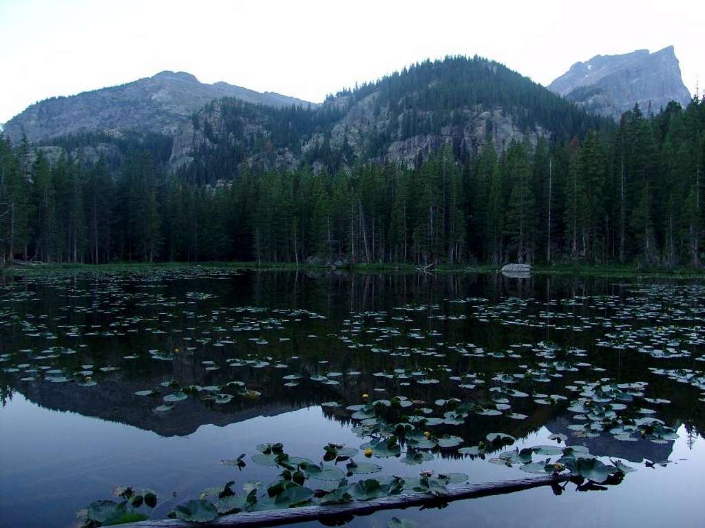 Nymph Lake Rocky Mountain NP CO