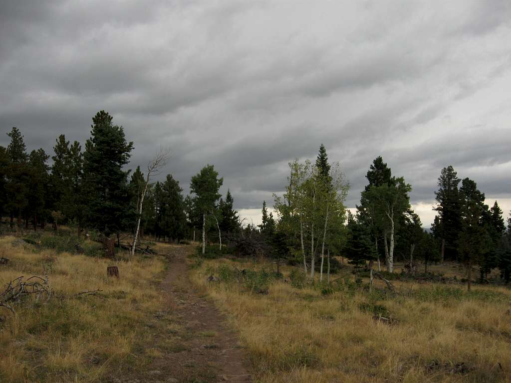 Ominous clouds over Horn Creek Trail