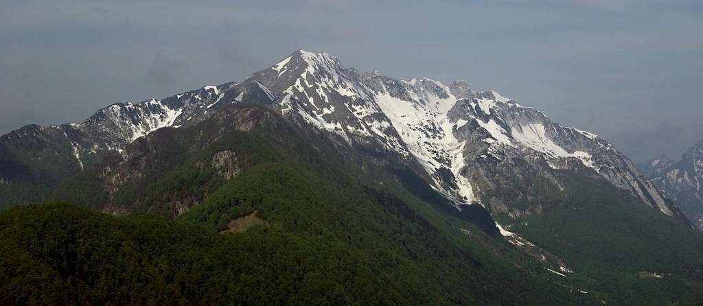 Monte Zajavor
