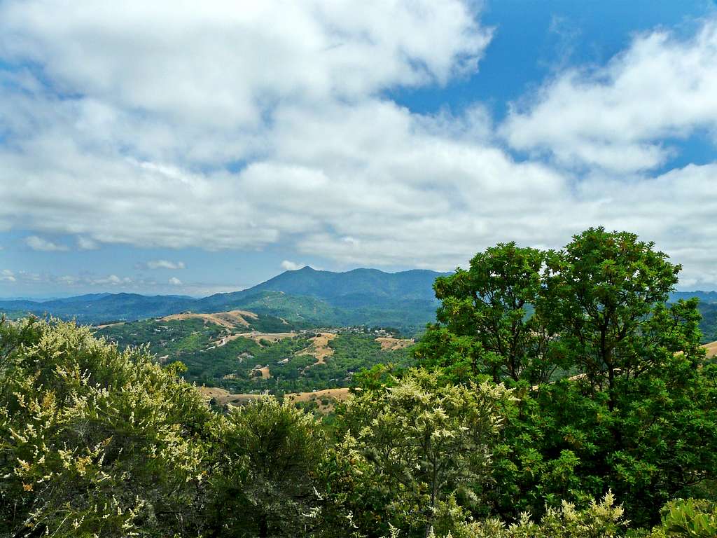 Mt. Tam from Open Space hills