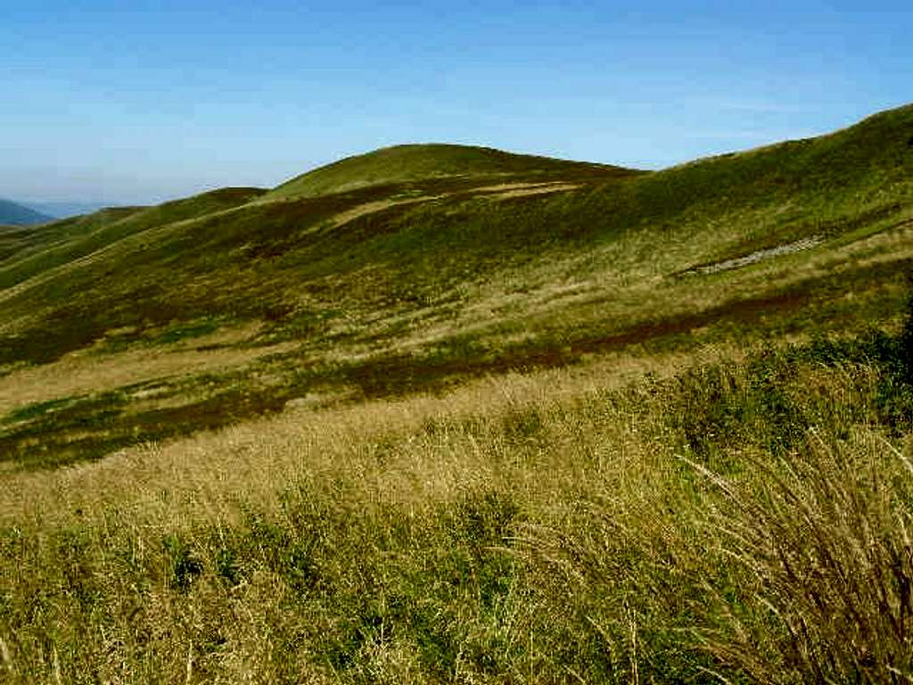 The ridge of Mount Szeroki Wierch (1293 m)
