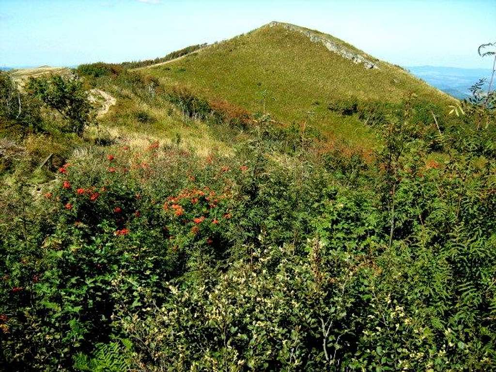 Mount Bukowe Berdo – High point 1238 m