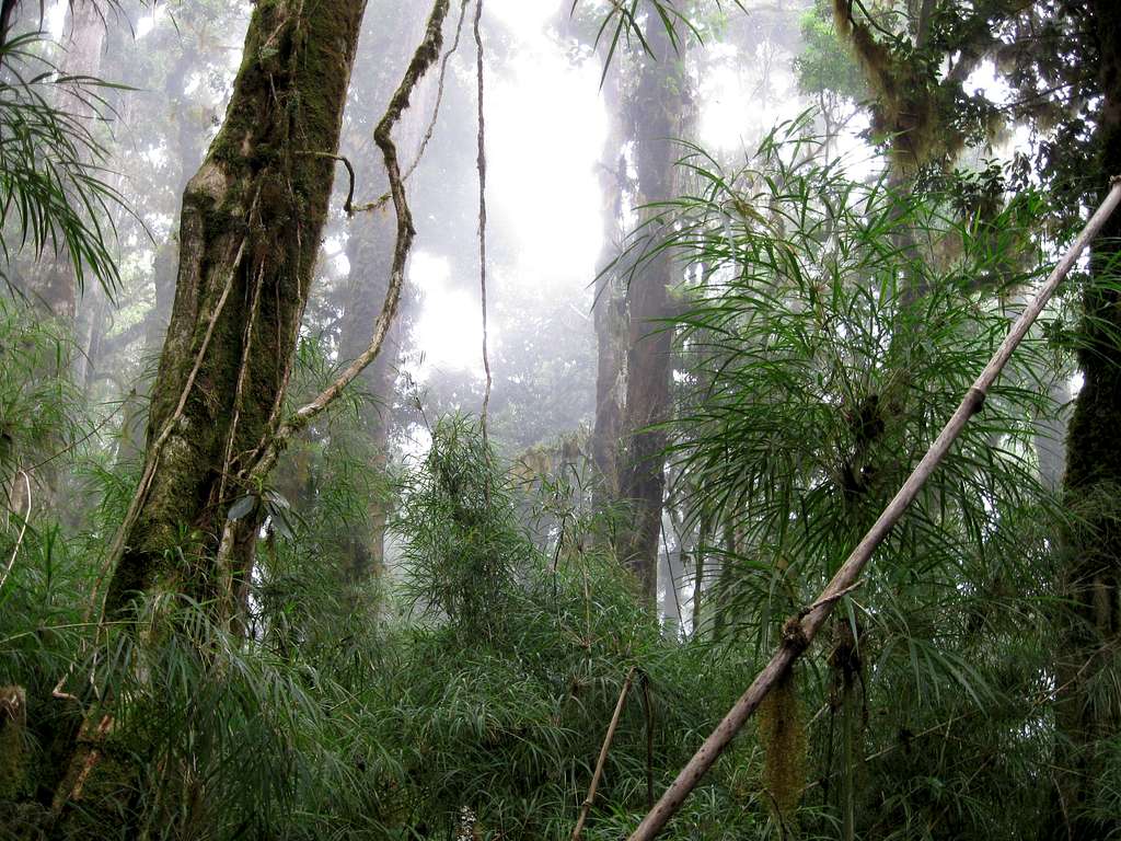 Mt. Totumas Peak