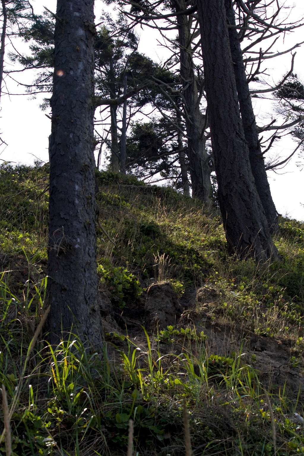 Steep hillsides are prone to erosion