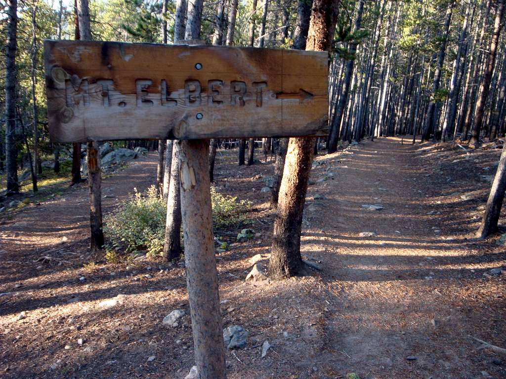 Mt Elbert Trail Turn Off From the CO Trail