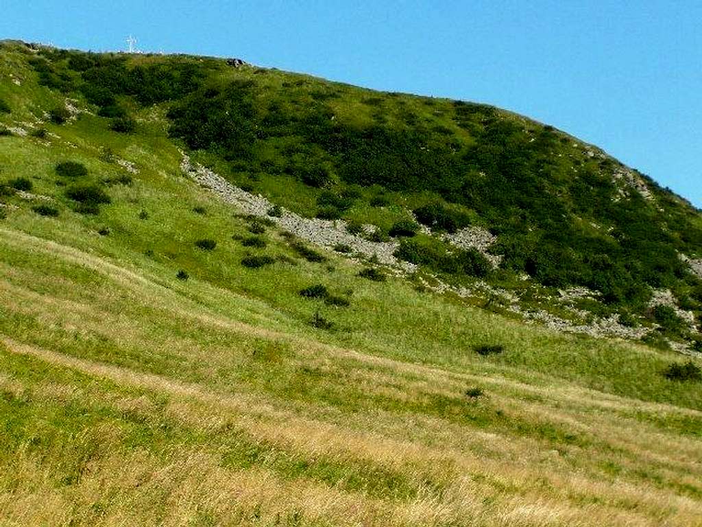 The southern side of Mount Tarnica.