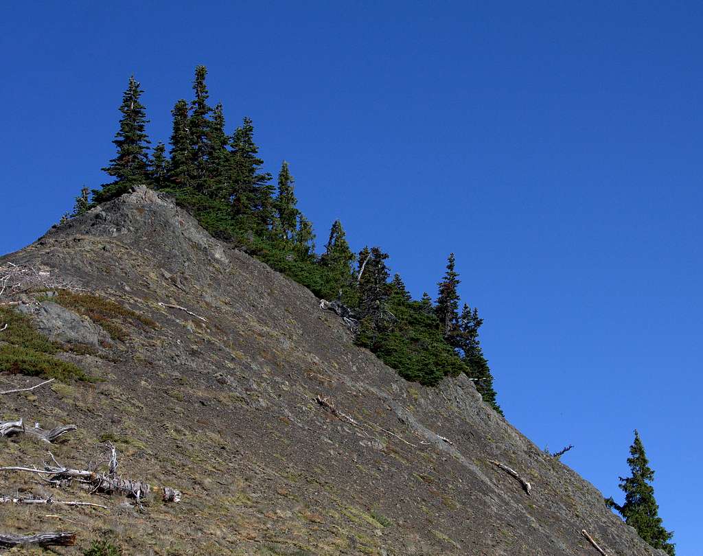 A view of the top of High Ridge