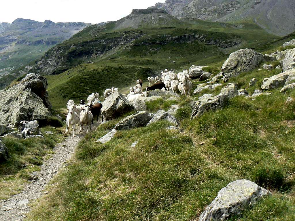 Climbing to Soum des Salettes from Piau valley