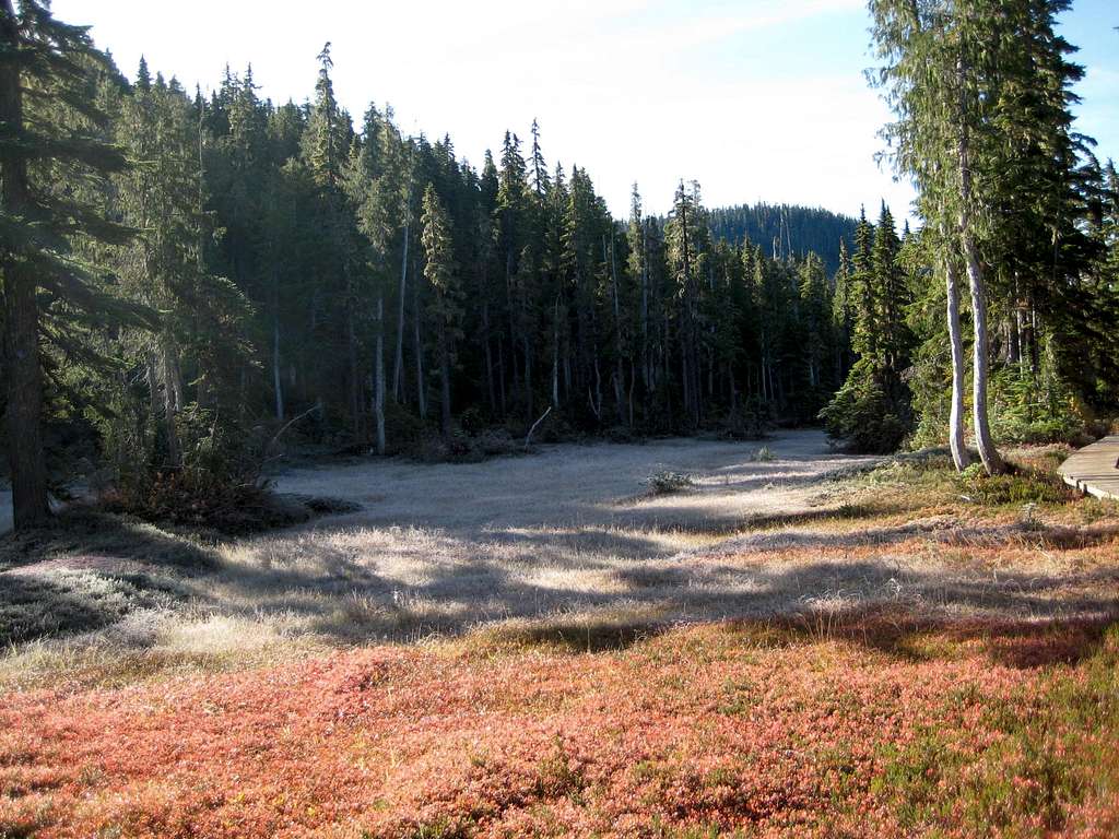 Frosty Paradise Meadows