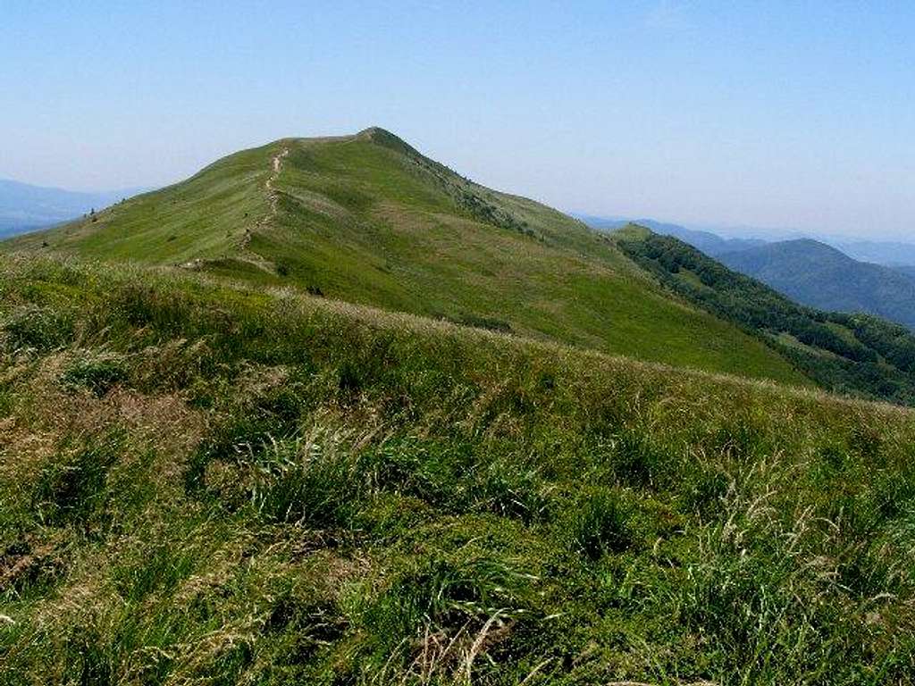 Mount Polonina Carynska – Kruhly Wierch (1297 m)