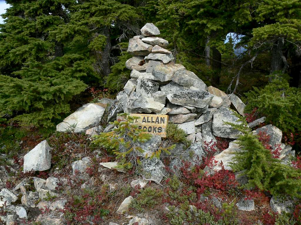 Mt Allan Brooks Summit
