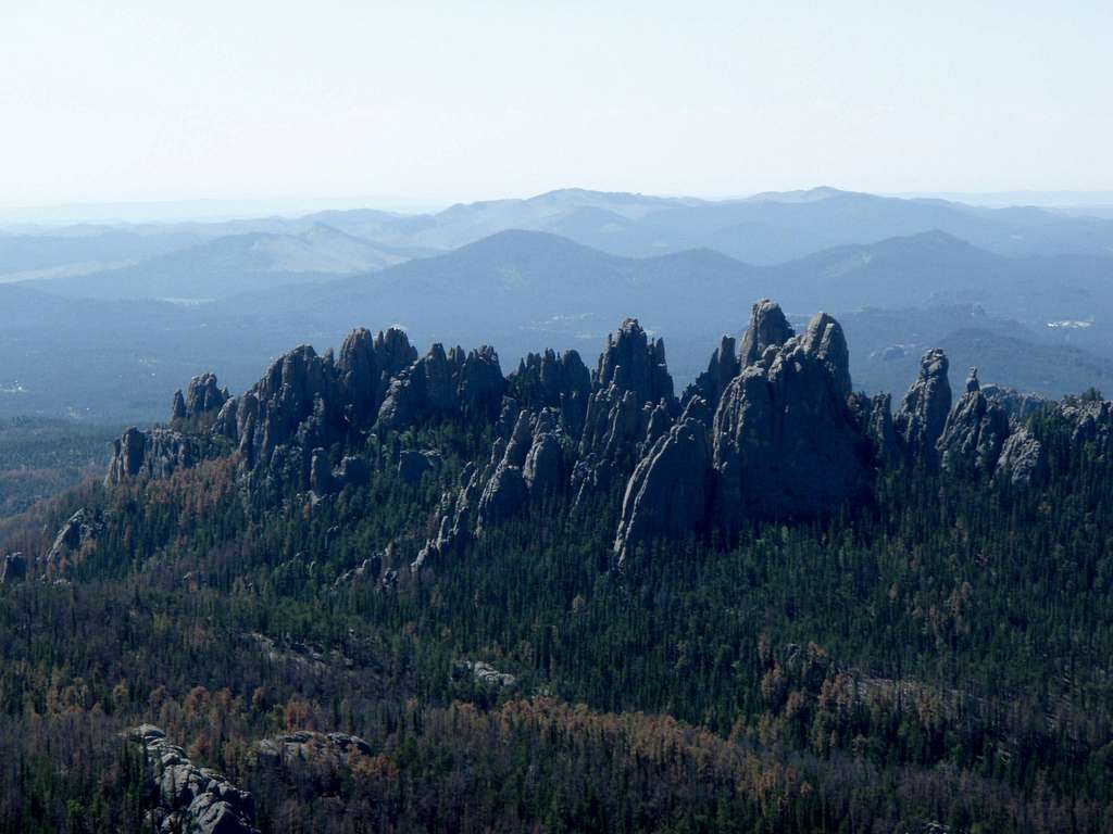 the needles