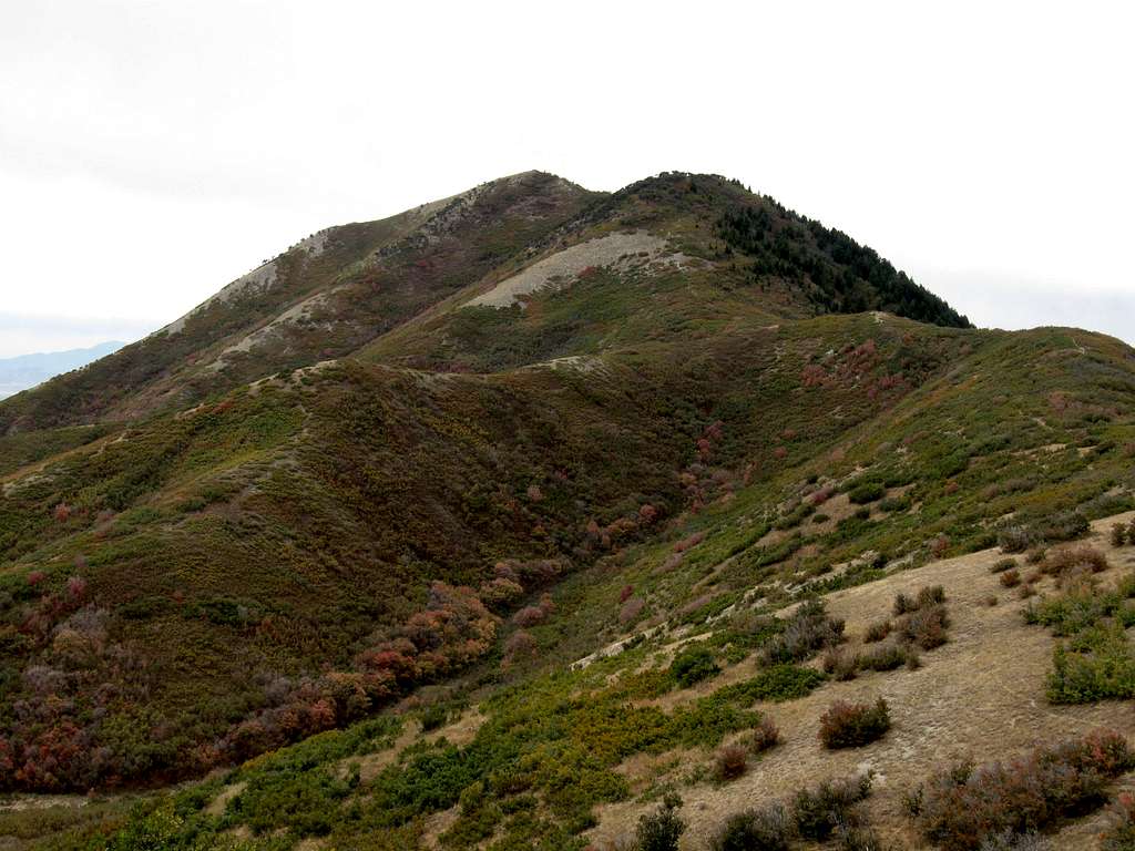 Dale Peak