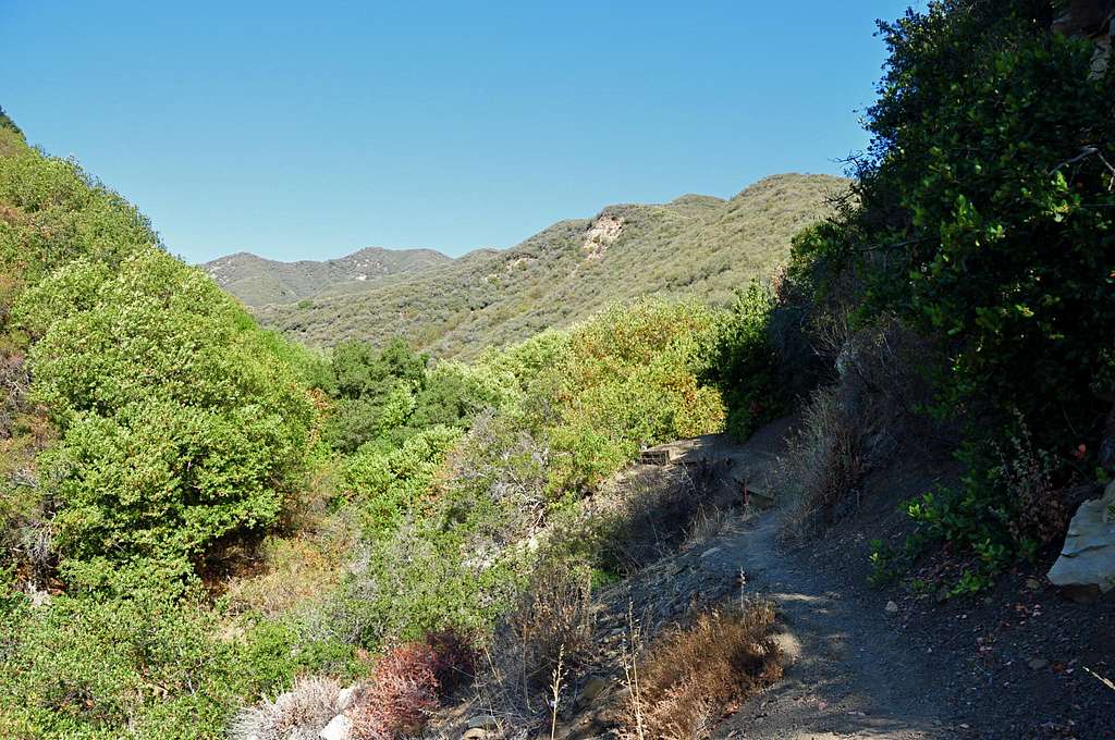 San Ysidro Canyon Trail