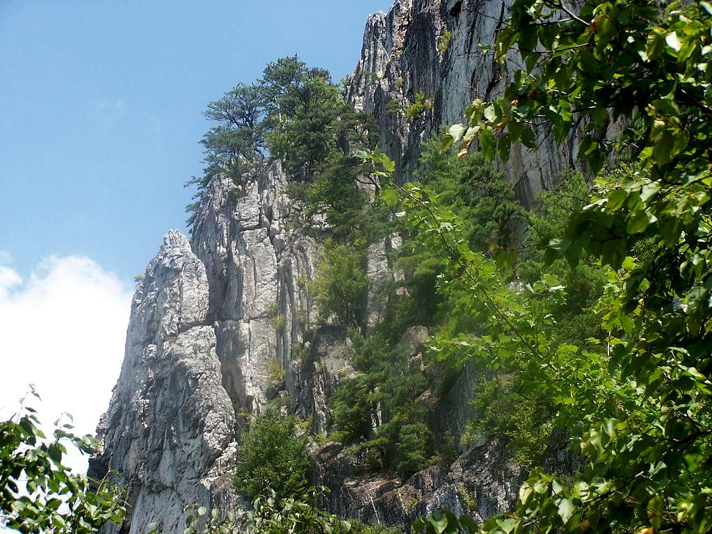 Rock Climbing View
